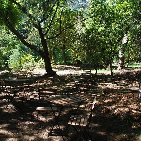 Bridal Falls Cottage ليورا المظهر الخارجي الصورة