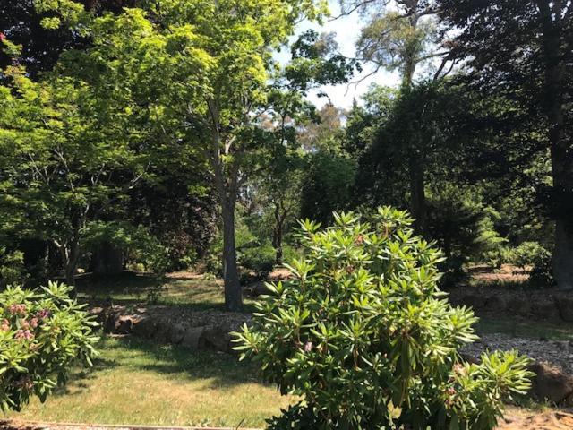 Bridal Falls Cottage ليورا المظهر الخارجي الصورة